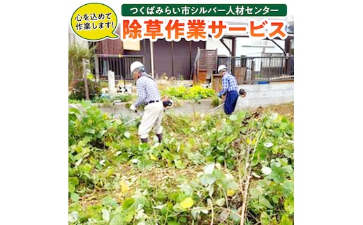 除草作業サービス [BB01-NT]