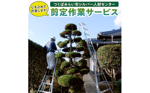剪定作業サービス [BB02-NT]