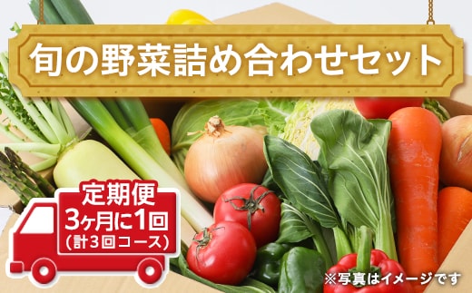 田舎の頑固おやじ厳選！【定期便】旬の野菜詰め合わせセット3ヶ月に1回(計3回コース) [BI02-NT]