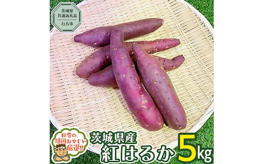 べにはるか 5kg 【2025年10月から発送開始】（茨城県共通返礼品 [さつまいも]：行方市産） さつまいも 紅はるか 芋 いも 野菜[BI07-NT]