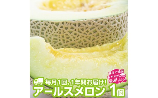 【定期便】 アールスメロン 食べてみセット 1個入り 毎月1回 1年コース (全12回) 田舎の頑固おやじが厳選！ [BI45-NT]
