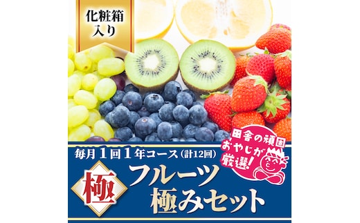 田舎の頑固おやじが厳選！フルーツ極み定期便セット【毎月1回1年コース(計12回)】［化粧箱入り］ [BI65-NT]