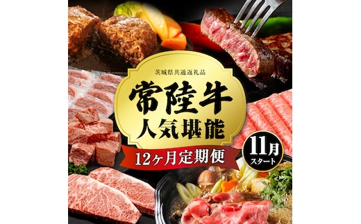 【定期便】【2026年11月スタート】【全12回】『常陸牛』人気12か月堪能セット（12か月連続でお届け） お肉 肉 牛肉 ステーキ ハンバーグ サーロイン 赤身 切り落とし 霜降り カルビ [BX36-NT]