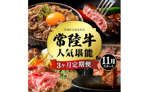 【 定期便 】【2026年11月スタート 】【 全3回 】『 常陸牛 』人気3か月堪能セット（ 3か月連続でお届け ） お肉 肉 牛肉 赤身 切り落とし 黒毛和牛 和牛 国産黒毛和牛 国産牛 [BX28-NT]