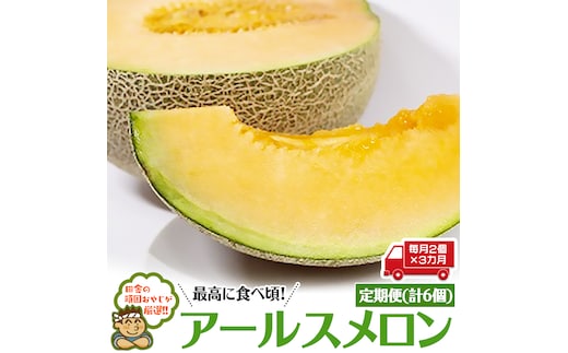 【定期便】 アールスメロン 毎月2個 × 3か月 （計6個） 田舎の頑固おやじが厳選！ [BI92-NT]