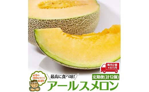 【定期便】 アールスメロン 毎月2個 × 6か月 （計12個） 田舎の頑固おやじが厳選！ [BI93-NT]
