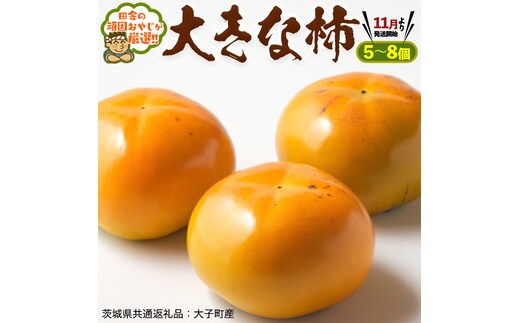 大きな 柿 5～8個【11月より発送開始】田舎の頑固おやじが厳選！ （茨城県共通返礼品 [柿]：大子町産）[BI153-NT]