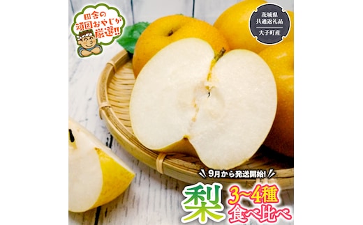 梨 食べ比べ 3～4種類【2026年9月より発送開始】（茨城県共通返礼品 [梨]：大子町産）田舎の頑固おやじが厳選！ [BI124-NT]