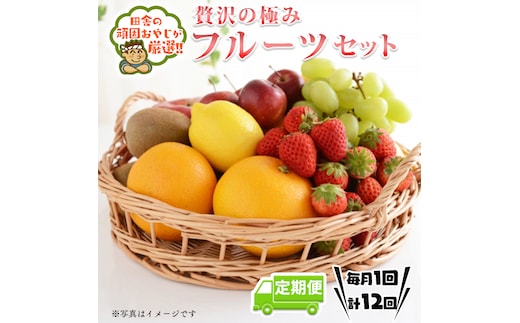 【 定期便 】贅沢 の極み フルーツ セット 【毎月1回1年コース(計12回)】田舎の頑固おやじが厳選！ 茨城県 厳選 定期 果物 くだもの 旬 上級品 極上 贅沢 極み ギフト プレゼント 贈り物 お歳暮 御歳暮 お中元 御中元 [BI231-NT]