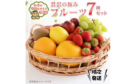 贅沢の極み フルーツ 7種 セット 田舎の頑固おやじが厳選！ 茨城県 厳選 果物 くだもの 旬 上級品 極上 贅沢 極み フルーツ ギフト プレゼント 贈り物 お歳暮 御歳暮 お中元 御中元 [BI230-NT]