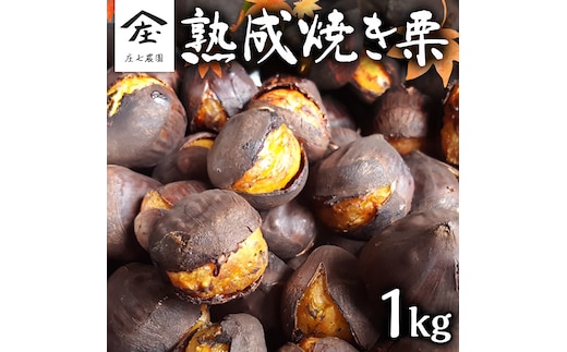 庄七農園 限定 熟成 焼き栗 1kg 【 10月から順次お届け 】 栗 くり 焼栗 おやつ スイーツ 茨城 和栗 美味しい 果物 フルーツ [BK04-NT]