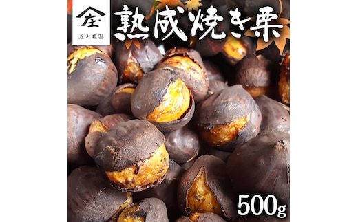 庄七農園 限定 熟成 焼き栗 500g 【 10月から順次お届け 】 栗 くり 焼栗 おやつ スイーツ 茨城 和栗 美味しい 果物 フルーツ [BK05-NT]