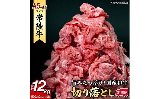 【定期便】 全12回 【 常陸牛 】 切り落とし 1kg (茨城県共通返礼品) 国産 切落し 焼肉 焼き肉 お肉 A4ランク A5ランク ブランド牛 小分け [BX89-NT]
