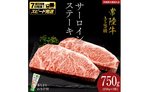 ＼ スピード発送／【 常陸牛 】 A5 等級 サーロインステーキ 750g (250g×3枚) あらぎり わさび 付 （茨城県 共通返礼品：守谷市） ひたちぎゅう ブランド牛 ステーキ サーロイン 国産牛 黒毛和牛 和牛 国産黒毛和牛 お肉 A5ランク 山葵 ワサビ [BX94-NT]