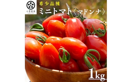 ミニトマト（マドンナ）約1kg 【1月下旬発送開始】 ミニトマト マドンナ とまと リコピン トマト 野菜 [AY08-NT]