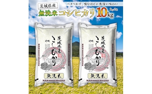 【 新米 】 令和7年産 無洗米 茨城 こしひかり 10kg（ 無洗米 5kg × 2本 ） 新生活 プレゼント 新生活応援 必要なもの 便利 おすすめ 消耗品 一人暮らし 二人暮らし 必要