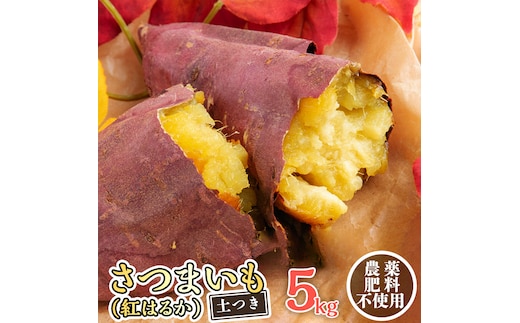さつまいも ( 紅はるか ） 5kg 【 栽培期間中 / 農薬・肥料不使用 】土つき 高糖度 肥料不使用 自然栽培 スイーツ 焼き芋 天ぷら スイートポテト 秋 べにはるか 食物繊維