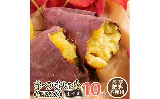 さつまいも ( 紅はるか ） 10kg 【 栽培期間中 / 農薬・肥料不使用 】土つき 高糖度 肥料不使用 自然栽培 スイーツ 焼き芋 天ぷら スイートポテト 秋 べにはるか 食物繊維