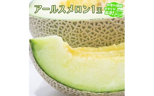 アールスメロン 1個 田舎の頑固おやじが厳選！ メロン ギフト 高糖度 甘い 美味しい フルーツ [BI257-NT]