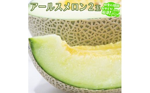 アールスメロン 2個 田舎の頑固おやじが厳選！ メロン ギフト 高糖度 甘い 美味しい フルーツ [BI259-NT]