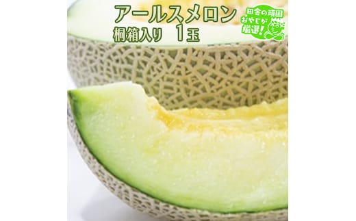 アールスメロン 1個 桐箱入り 田舎の頑固おやじが厳選！ メロン ギフト 高糖度 桐箱 甘い 美味しい フルーツ [BI261-NT]