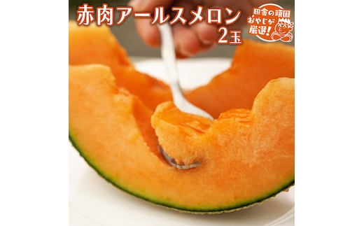 赤肉 アールスメロン 2個 田舎の頑固おやじが厳選！ メロン アールスメロン 赤肉 ギフト 高糖度 甘い 美味しい [BI281-NT]