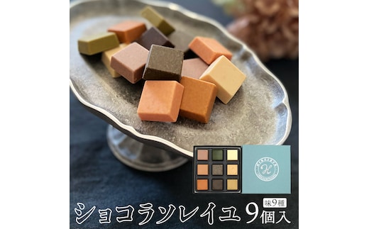 ショコラソレイユ 9種 チョコレート チョコ スイーツ デザート 高級 ギフト 贈り物 お礼 プレゼント 手土産 お菓子 [DJ07-NT]