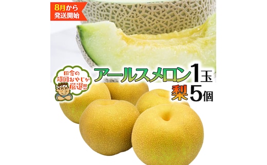 アールスメロン 1個 梨5個 【2026年8月発送開始】田舎の頑固おやじが厳選！ メロン 高糖度 美味しい 甘い フルーツ [BI318-NT]