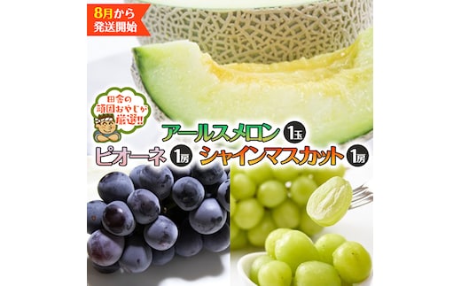 アールスメロン 1個 シャインマスカット 1房 ピオーネ 1房【2026年8月発送開始】田舎の頑固おやじが厳選！ メロン マスカット 種なし ぶどう ブドウ 葡萄 ギフト 高糖度 大粒 甘い フルーツ 美味しい [BI316-NT]