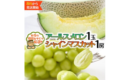 シャインマスカット 1房 アールスメロン 1個【2025年8月発送開始】（茨城県共通返礼品 [ぶどう]：結城市産） 田舎の頑固おやじが厳選！ マスカット 種なし メロン ギフト 高糖度 甘い フルーツ 美味しい [BI314-NT]