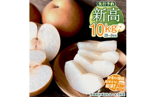梨 新高 10kg（20～26個）【2026年10月より発送開始】（茨城県共通返礼品 [梨]：大子町産）田舎の頑固おやじが厳選！ なし 新高梨 和梨 フルーツ 果物 くだもの 高糖度 ギフト 茨城 [BI307-NT]