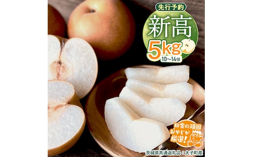 梨 新高 5kg（10〜14個）【2026年10月より発送開始】（茨城県共通返礼品 [梨]：大子町産）田舎の頑固おやじが厳選！ なし 新高梨 和梨 フルーツ 果物 くだもの 高糖度 ギフト 茨城 [BI306-NT]