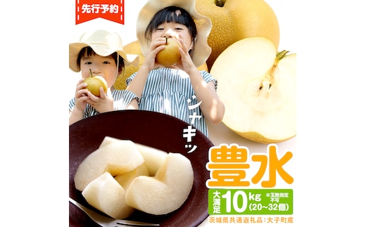 梨 豊水 約10kg 20～32個【2026年9月より発送開始】（茨城県共通返礼品 [梨]：大子町産）田舎の頑固おやじが厳選！ 梨 豊水 高糖度 ギフト 甘い 美味しい フルーツ デザート [BI305-NT]