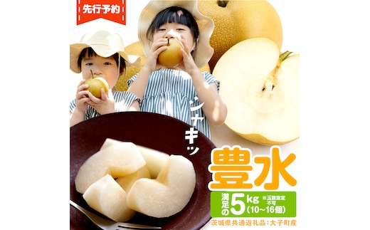 梨 豊水 約5kg（10～16個）【2026年9月より発送開始】（茨城県共通返礼品 [梨]：大子町産）田舎の頑固おやじが厳選！ なし 豊水梨 果物 くだもの フルーツ 旬 高糖度 ギフト 美味しい 甘い デザート [BI304-NT]