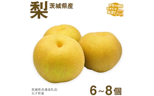 梨 6〜8個【2026年12月より発送開始】（茨城県共通返礼品 [梨]：大子町産）田舎の頑固おやじが厳選！ 梨 高糖度 ギフト 甘い スイーツ デザート フルーツ 美味しい [BI299-NT]