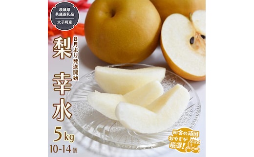 梨 幸水 5kg 10～14個【2026年8月より発送開始】（茨城県共通返礼品 [梨]：大子町産）田舎の頑固おやじが厳選！ 梨 幸水 高糖度 ギフト 甘い スイーツ デザート フルーツ 美味しい [BI297-NT]