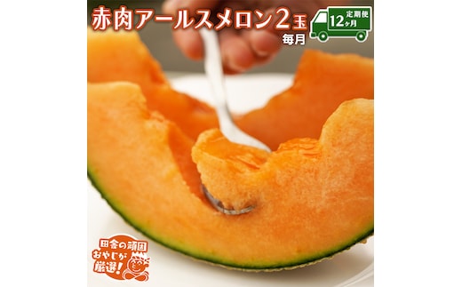 【定期便】赤肉 アールスメロン 毎月2個 × 12か月 田舎の頑固おやじが厳選！ メロン アールスメロン 赤肉 ギフト 高糖度 定期便 赤肉メロン 甘い 美味しい フルーツ [BI284-NT]
