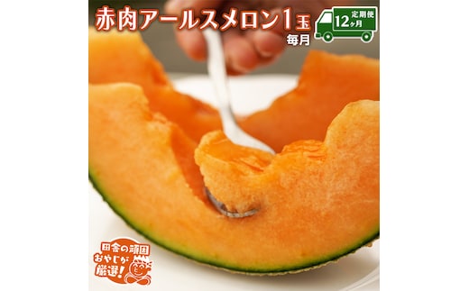 【定期便】 赤肉 アールスメロン 毎月1個 × 12か月 田舎の頑固おやじが厳選！ メロン アールスメロン 赤肉 ギフト 高糖度 定期便 赤肉メロン 甘い 美味しい フルーツ [BI280-NT]