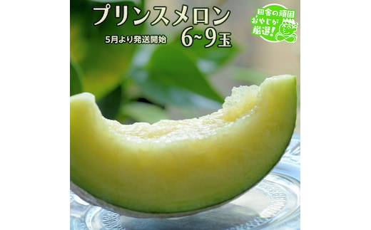 プリンスメロン 6～9個 【5月発送開始】 田舎の頑固おやじが厳選！ メロン ジューシー ギフト 高糖度 大玉 美味しい 甘いフルーツ [BI288-NT]