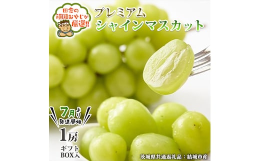 プレミアム シャインマスカット 1房 ギフトBOX入り 【2025年7月より発送開始】田舎の頑固おやじが厳選！（茨城県共通返礼品 [ぶどう]：結城市産） 茨城県 県産 つくばみらい市 人気 厳選 果物 くだもの 旬 旬の果物 旬のフルーツ マスカット ぶどう ブドウ ギフト 贈り物 プレゼント ボックス入り [BI236-NT]