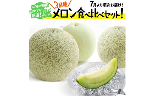 メロン 食べ比べ セット【7月発送開始】田舎の頑固おやじが厳選！ [BI184-NT]
