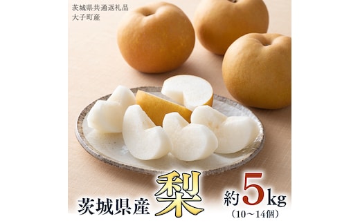 梨 10～14個【2026年9月より発送開始】（茨城県共通返礼品 [梨]：大子町産）田舎の頑固おやじが厳選！ [BI141-NT]