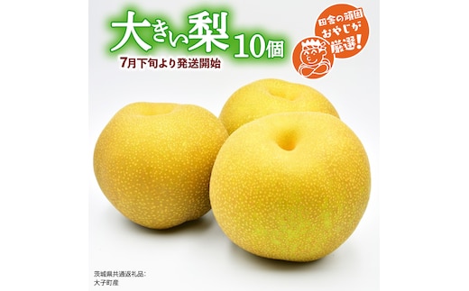 大きい 梨 10個【2026年7月下旬より発送開始】（茨城県共通返礼品 [梨]：大子町産）田舎の頑固おやじが厳選！ [BI134-NT]
