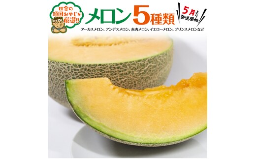 メロン5種だっぺセット【5月から順次お届け】田舎の頑固おやじが厳選！ [BI106-NT]