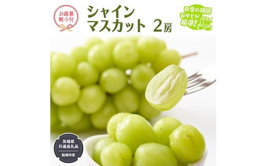 【お歳暮 熨斗付】 シャインマスカット 2房 【2026年12月より発送開始】 （茨城県共通返礼品 [ぶどう]：結城市産） 田舎の頑固おやじが厳選！ マスカット 種なし 大粒 高糖度 御歳暮 ギフト ぶどう 巨峰 フルーツ 甘い [BI270-NT]