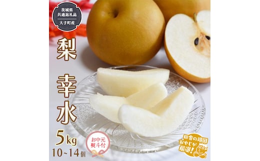 （ お中元 熨斗付 ）梨 幸水 5kg 10～14個 【2026年7月より発送開始】 （茨城県共通返礼品 [梨]：大子町産） 田舎の頑固おやじが厳選！ 高糖度 ギフト 御中元 フルーツ 美味しい なし ナシ [BI298-NT]