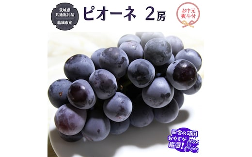 【お中元 熨斗付】 ピオーネ 2房 【2026年7月より発送開始】 （茨城県共通返礼品 [ぶどう]：結城市産） 田舎の頑固おやじが厳選！ ぶどう ブドウ 葡萄 大粒 ギフト お中元 甘い フルーツ 美味しい [BI268-NT]