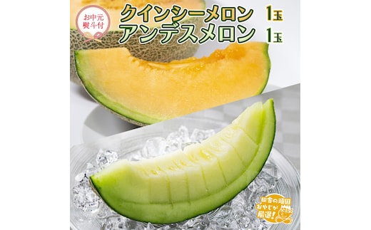 【お中元 熨斗付】 クインシーメロン 1個 アンデスメロン 1個 【2026年7月より発送開始】 田舎の頑固おやじが厳選！ メロン お中元 ギフト 高糖度 [BI256-NT]