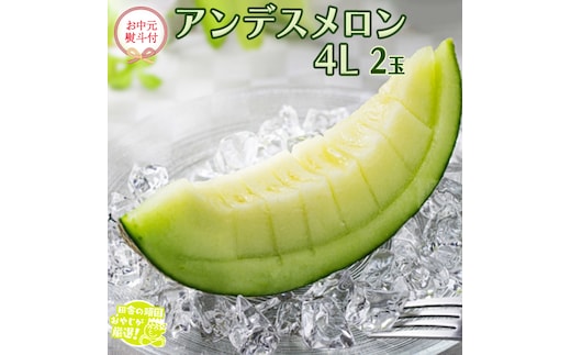 【お中元 熨斗付】 アンデスメロン 4L×2個 【2026年7月より発送開始】 田舎の頑固おやじが厳選！ メロン お中元 ギフト 高糖度 大玉 甘い 美味しい フルーツ [BI254-NT]