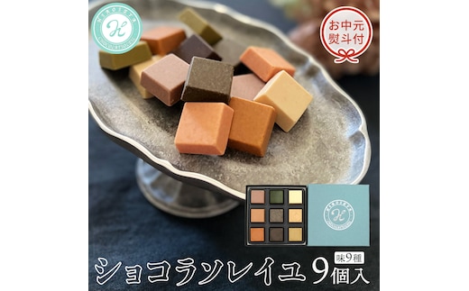 【 お中元 熨斗付 】 ショコラソレイユ 9種 チョコレート チョコ スイーツ デザート 高級 ギフト 贈り物 お礼 プレゼント 手土産 お菓子 [DJ08-NT]